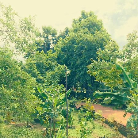 Oleena Home Stay Habarana Εξωτερικό φωτογραφία