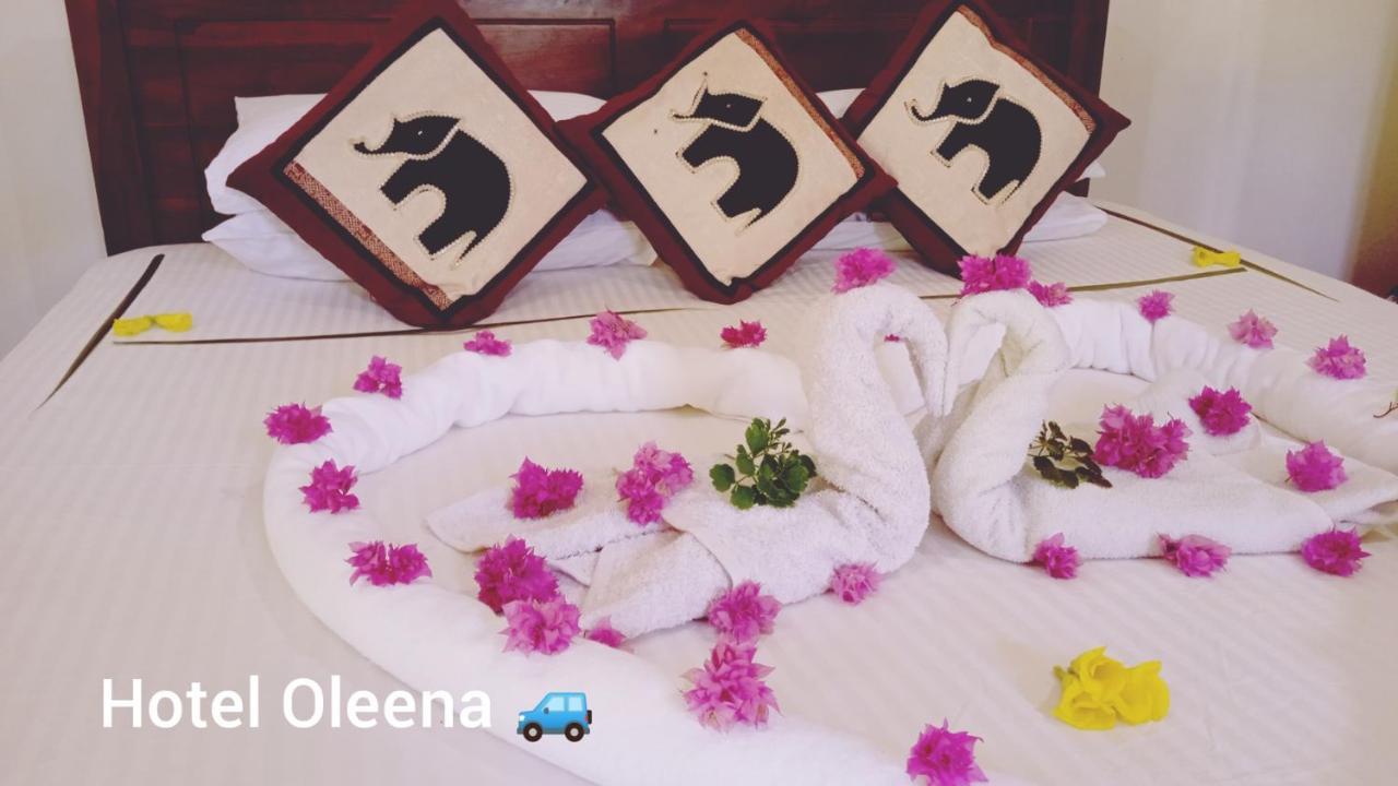 Oleena Home Stay Habarana Εξωτερικό φωτογραφία