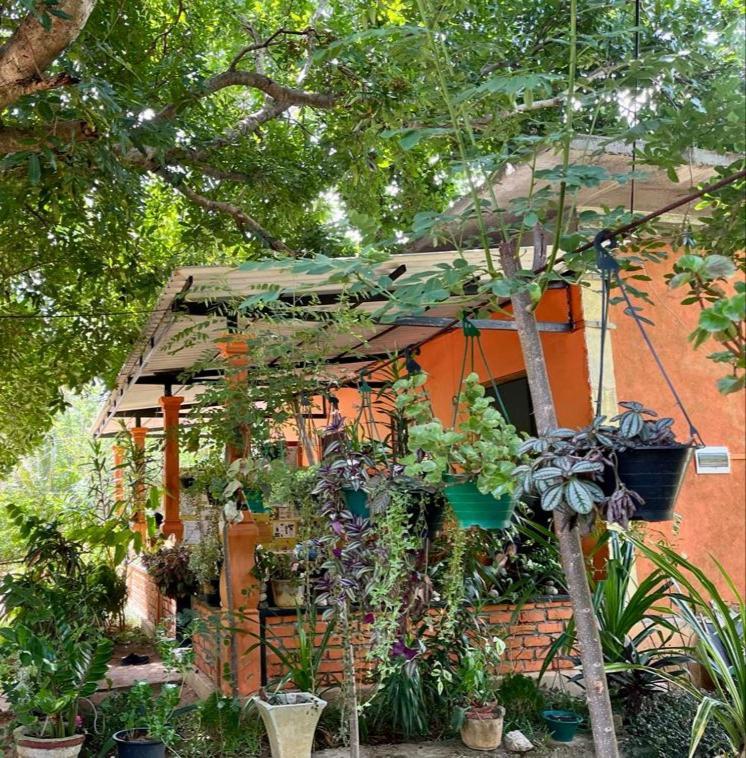 Oleena Home Stay Habarana Εξωτερικό φωτογραφία