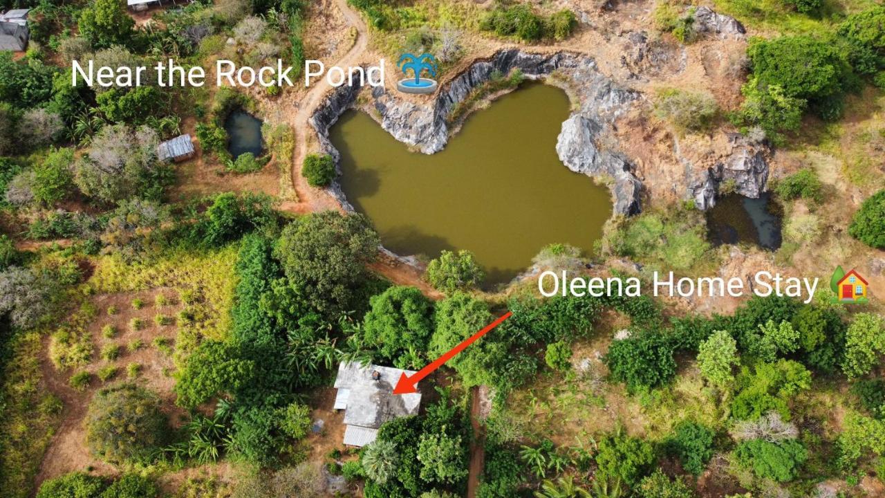 Oleena Home Stay Habarana Εξωτερικό φωτογραφία