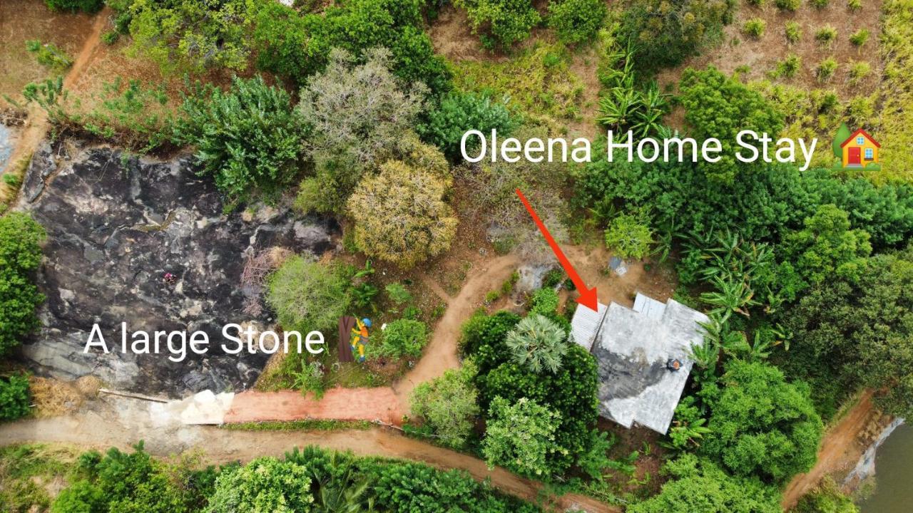 Oleena Home Stay Habarana Εξωτερικό φωτογραφία