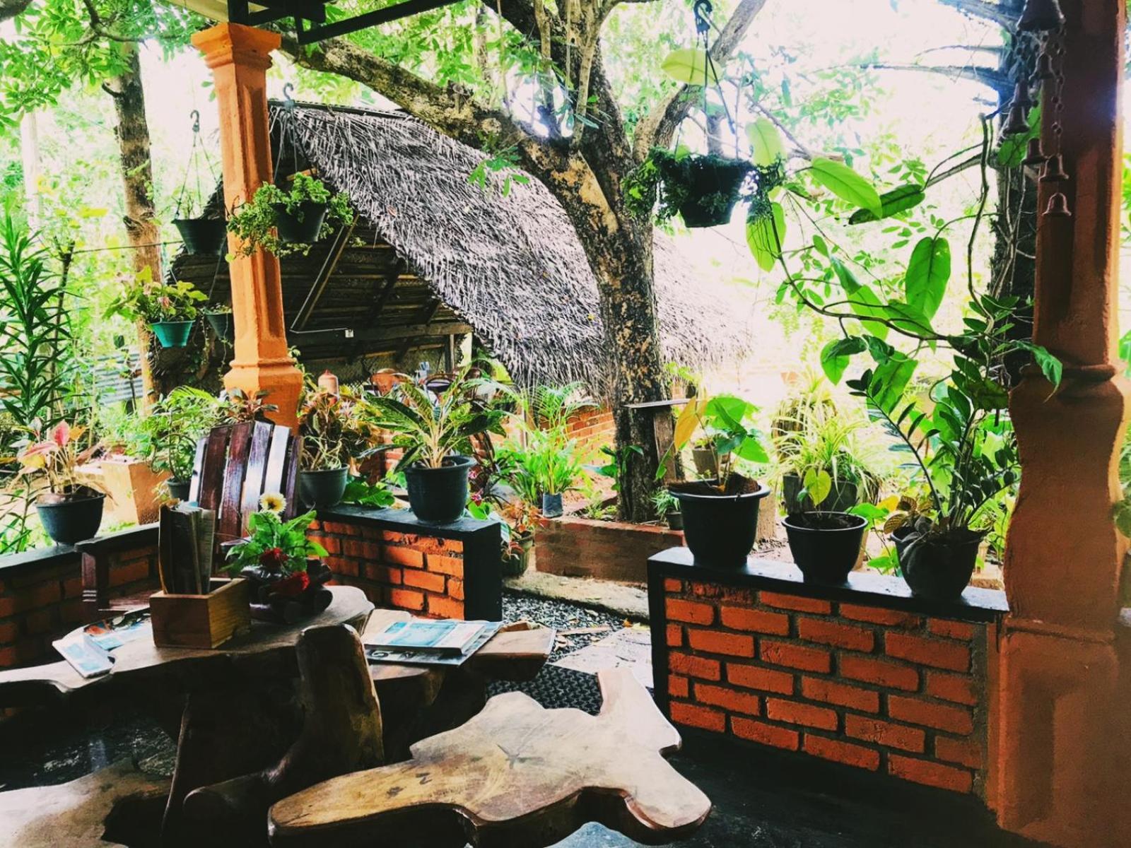 Oleena Home Stay Habarana Εξωτερικό φωτογραφία